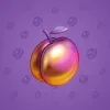 Precious Peach #2228