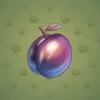 Precious Peach #2268