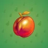 Precious Peach #359