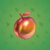 Precious Peach #375
