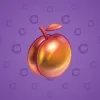 Precious Peach #482