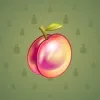 Precious Peach #493