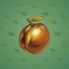 Precious Peach #497