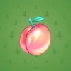 Precious Peach #568