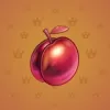 Precious Peach #592