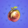 Precious Peach #691