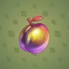 Precious Peach #698
