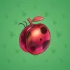 Precious Peach #720