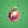 Precious Peach #757