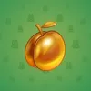 Precious Peach #818
