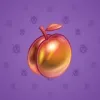 Precious Peach #894