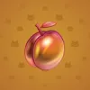 Precious Peach #95