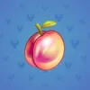 Precious Peach #970