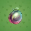 Precious Peach #985