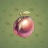 Precious Peach #987