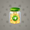 Restless Jar #5151