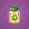 Restless Jar #8365