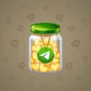 Restless Jar #8633