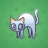 Scared Cat #10215