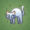 Scared Cat #103