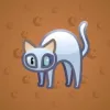 Scared Cat #10584