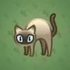 Scared Cat #10781