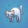 Scared Cat #10901