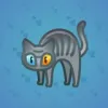 Scared Cat #11058