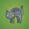 Scared Cat #11296