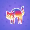 Scared Cat #11606