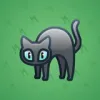 Scared Cat #11626