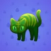 Scared Cat #12271