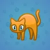 Scared Cat #12342