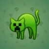Scared Cat #12493