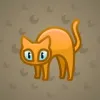 Scared Cat #12523