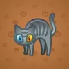 Scared Cat #12569