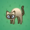 Scared Cat #12772