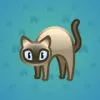 Scared Cat #12883