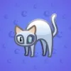 Scared Cat #13488