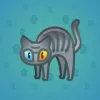 Scared Cat #13761