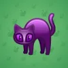 Scared Cat #13838