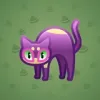 Scared Cat #13889