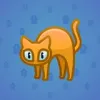 Scared Cat #13939