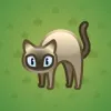 Scared Cat #14309