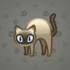 Scared Cat #14423