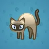 Scared Cat #14446