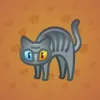Scared Cat #14567