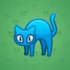 Scared Cat #14961