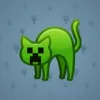 Scared Cat #15519