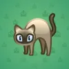 Scared Cat #15752